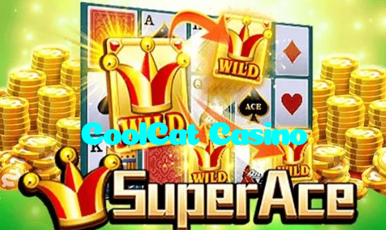 CoolCat Casino casino presented on mobile device in Pakistan with slots and live games