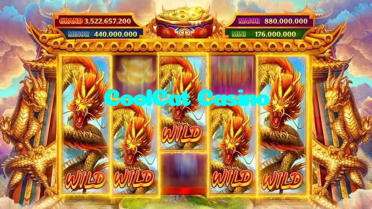 available types of CoolCat Casino bet including pre-match live express and system bets